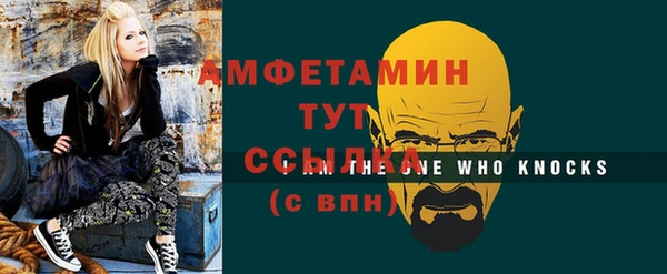 амф Горняк