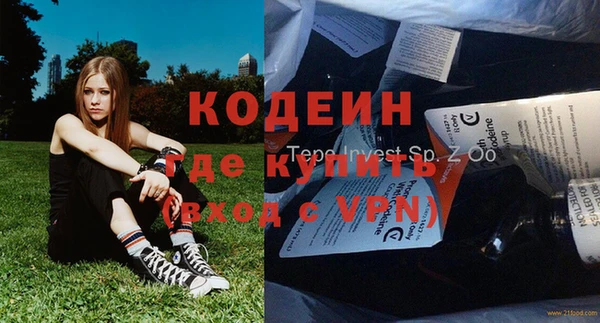амф Горняк
