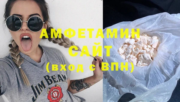 амф Горняк