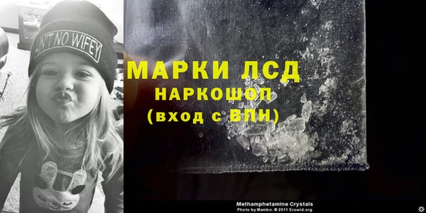амф Горняк