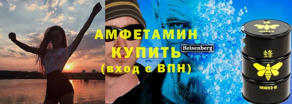 амф Горняк
