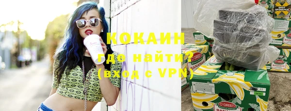 амф Горняк