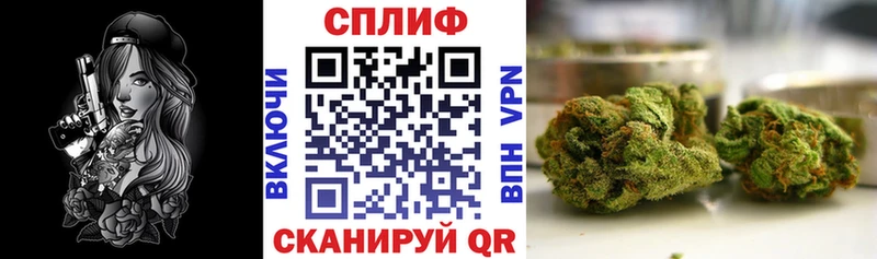 где найти наркотики  Первомайск  Конопля OG Kush 
